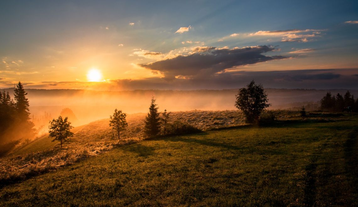 Pourquoi prendre de la Vitamine D?